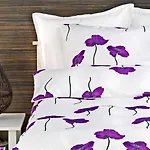 Apartman Centrum